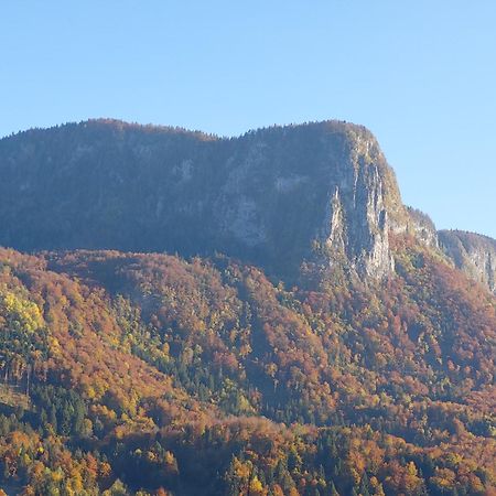 Apartmaji Pr'Pisk Bohinjska Bela Bagian luar foto