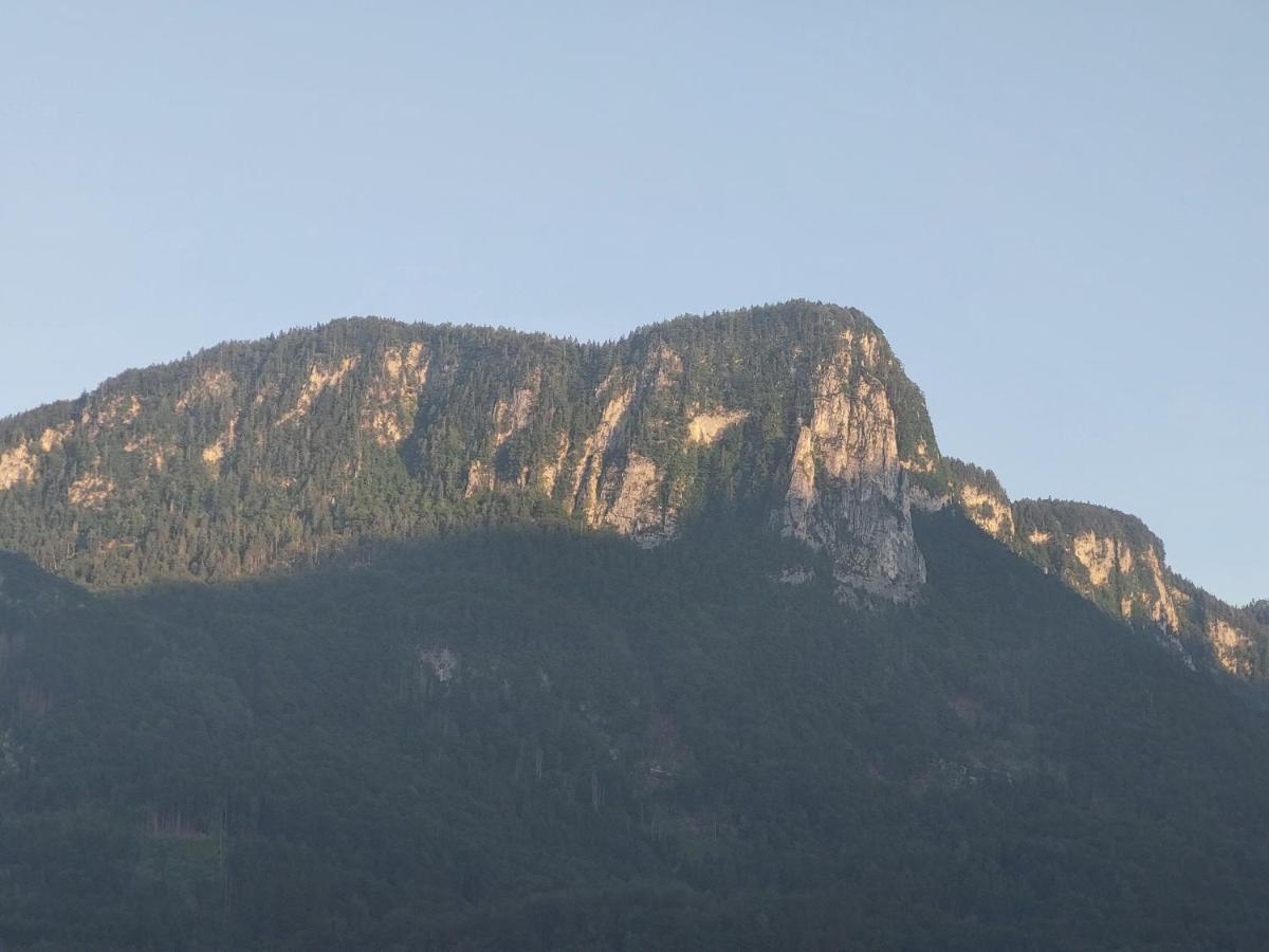 Apartmaji Pr'Pisk Bohinjska Bela Bagian luar foto