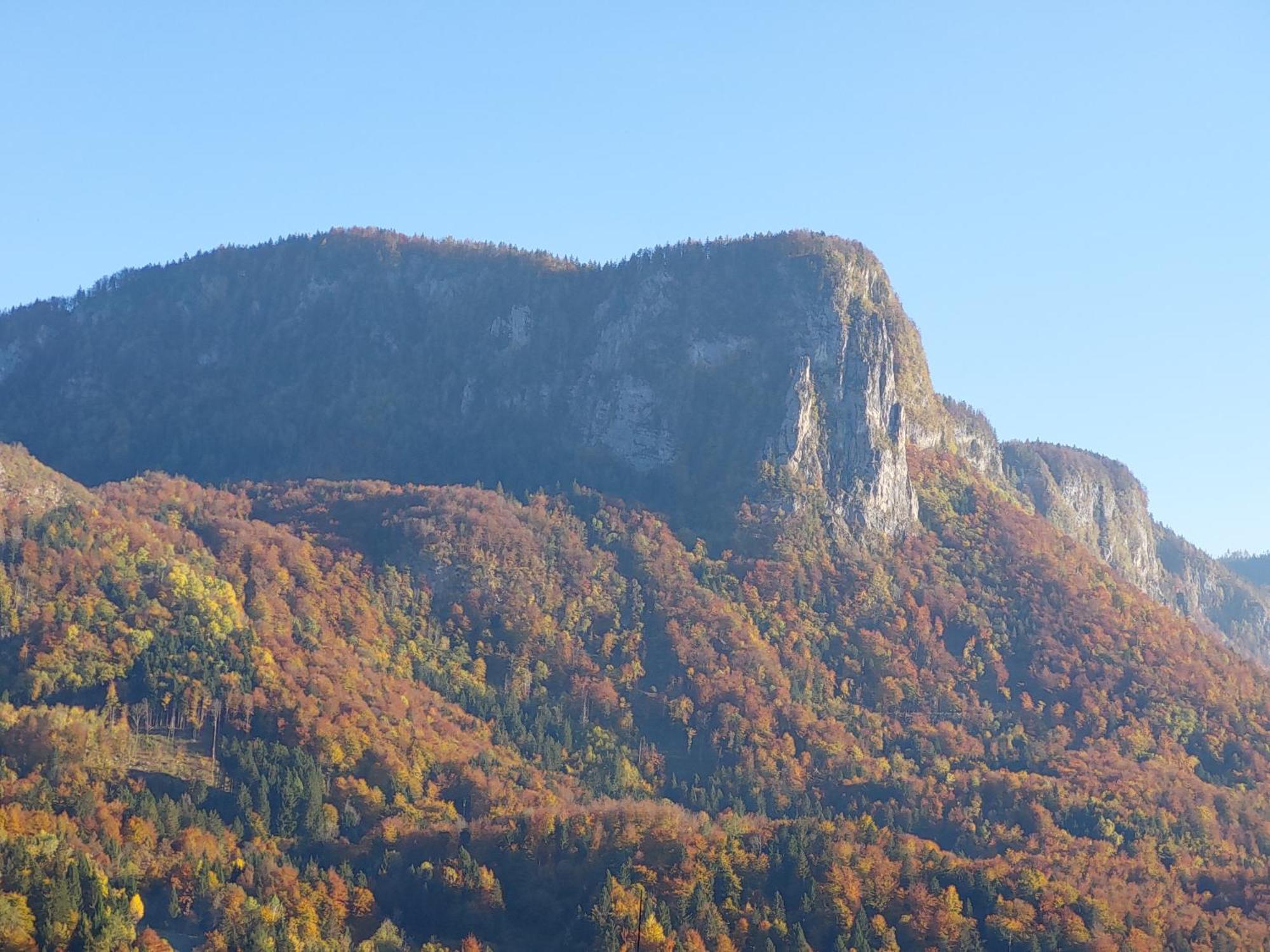 Apartmaji Pr'Pisk Bohinjska Bela Bagian luar foto