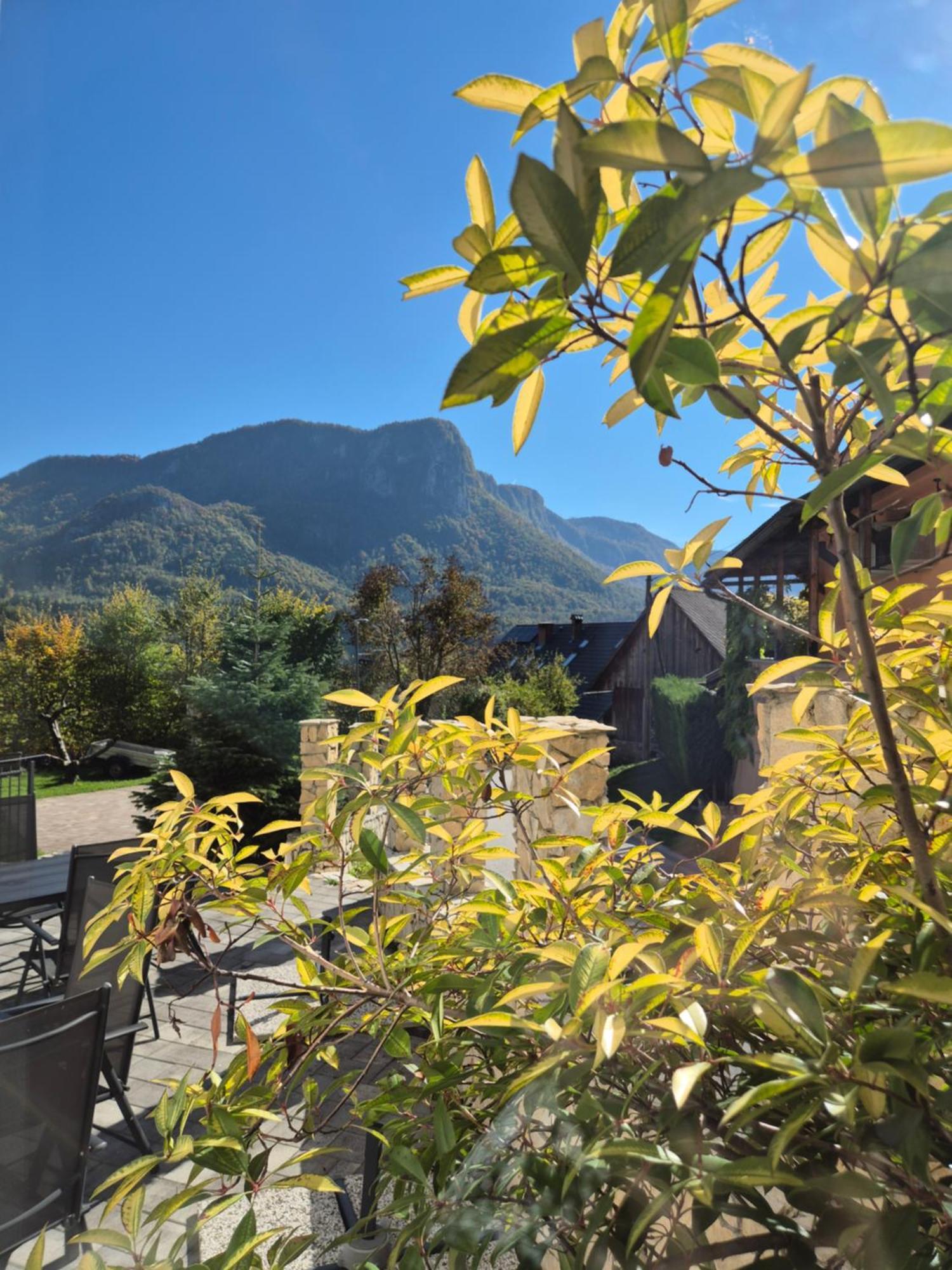 Apartmaji Pr'Pisk Bohinjska Bela Bagian luar foto